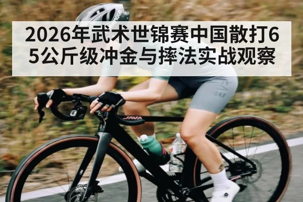 2026年武术世锦赛中国散打65公斤级冲金与摔法实战观察 | 3377Sports